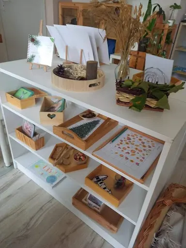 Niepubliczne Przedszkole Paprociowy Las